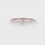 ring-cathedral-setting