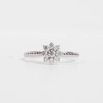 ring-Sunny-setting