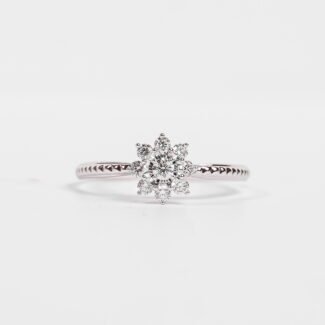 ring-Sunny-setting