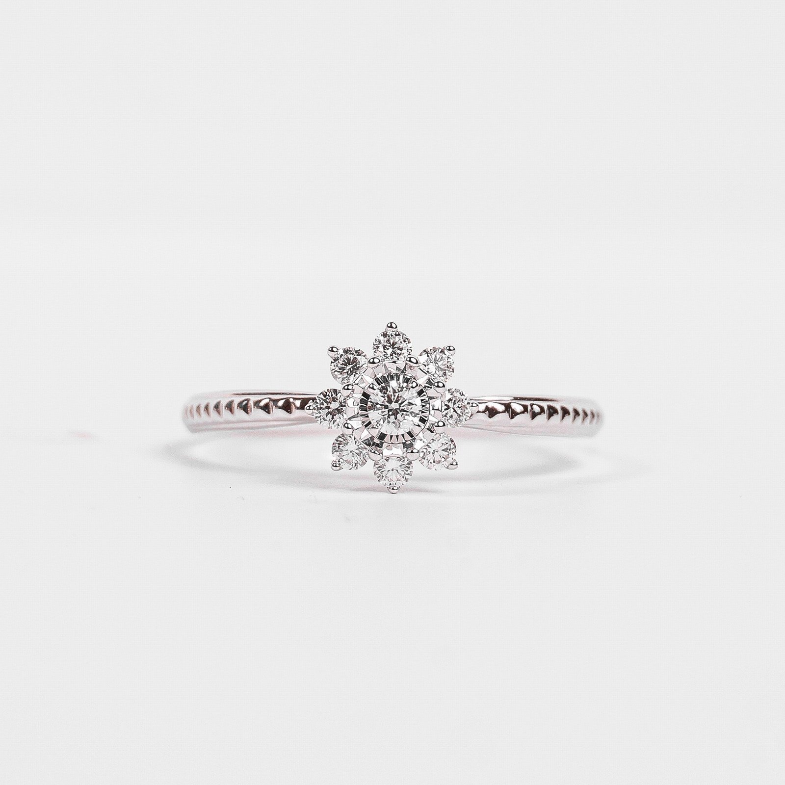 IMG_8895 ring-Sunny-setting