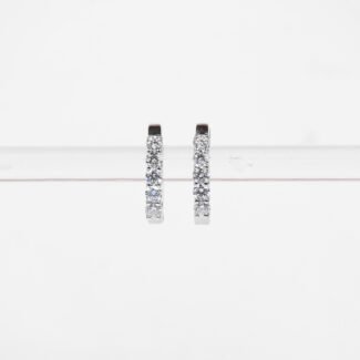 Earring Ring Hoop Setting